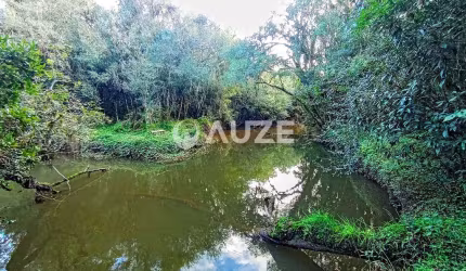 Maravilhosa Chácara à venda, Colônia Murici, São José dos Pinhais, PR