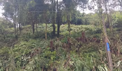 Aceita financiamento Terreno ZR-1 a venda à 150 metros da R. Antônio Johnson