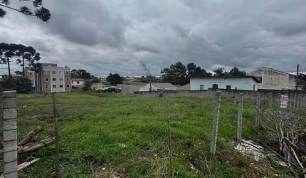 Oportunidade de Ouro para Construtores no Thomaz Coelho! Terreno de 3000m² com Localização Estratég