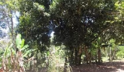 Bragança Paulista 46.123 m² abaixo da avaliação