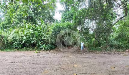 Terreno à venda, 503 m² por R$ 1.950.000,00 - Praia do Itamambuca - Ubatuba/SP