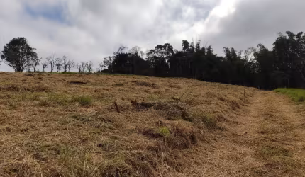 Lote de chacara a formar