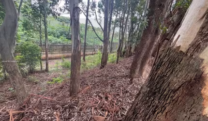 Lote para Venda em Barueri, Tamboré