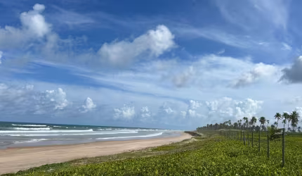 Oportunidade Única! Fazenda Pé na Areia em Subaúma!