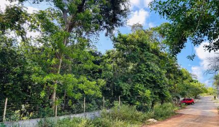 Terreno de 6480 m2 na Reserva Sapiranga - Praia do Forte