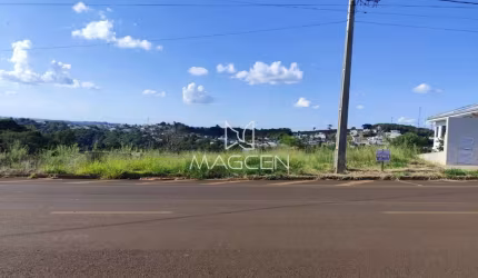Terreno com 16,49 m de frente  - TE441