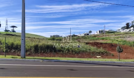Terreno com 15 de frente no bairro Cadorin  - TE305