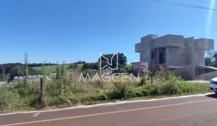Terreno no loteamento Vila Matilde Q 1781 L 07 - TE174