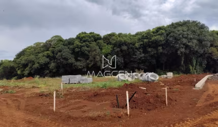 Terreno de esquina-Jardim Matilde  - TE489