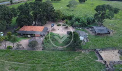 FAZENDA A VENDA EM CÁCERES MT codigo: 109549