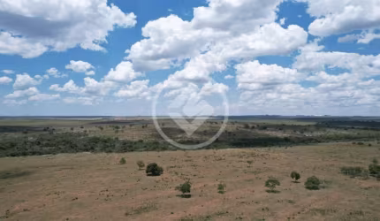 Fazenda, 2.950 hectares, Apta para Pecuária e Agricultura, Topografia plana, Alto Garças - MT R$120.000.000,00 - Aberto à negociação codigo: 53873