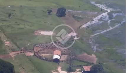 FAZENDA DE PORTEIRA FECHADA LOCALIZADA EM POCONÉ MATO GROSSO, COM 87.000 HECTARES (OITENTA E SETE MIL HECTARES) COM PISTA DE AVIÃO DE 650m. codigo: 124156