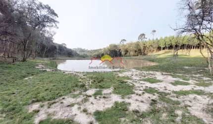 Chácara com 10.000,00 m² em Campo Alegre