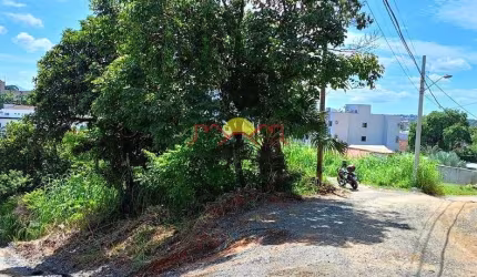 Terreno com Área Total de 732 m²