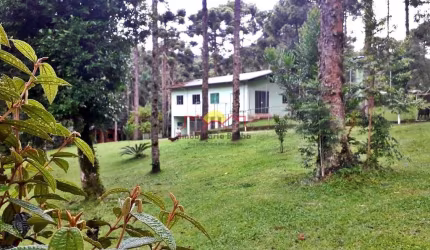 Chácara em Campo Alegre com 18 Mil m²