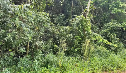 Terreno de Condomínio, Residencial para Venda, Alpes de Mairiporã, Mairiporã