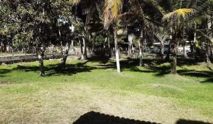 Ótimo Sítio na Massagueira - 10.000m²