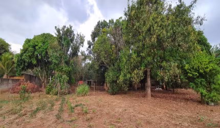 Excelente Área com 10.000 m² no Bairro Parque das Américas;