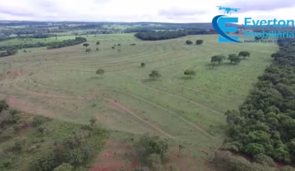 Fazenda em Uberlândia - MG com 31,84 alqueires ou 154,13 hectares;