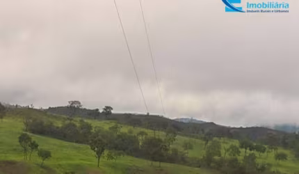Fazenda rica em água, com 25,50 alqueires em Presidente Olegário - MG;