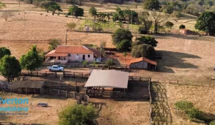 Fazenda em Campina Verde MG