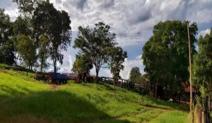 Fazenda em Uberlândia - MG com 101,64 hectares ou seja;