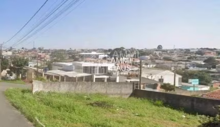 Terreno em Nações  -  Fazenda Rio Grande