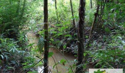 Terreno Rural para Venda em Itapecerica da Serra, Valo Velho