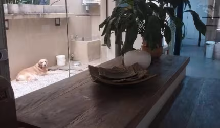 CASA E LOJA PARA VENDA COM 3 DORMITÓRIOS  - BROOKLIN!!