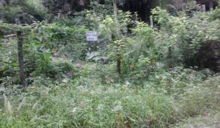 Terreno à venda, 675 m² por R$ 310.000,00 - Itaipu - Niterói/RJ