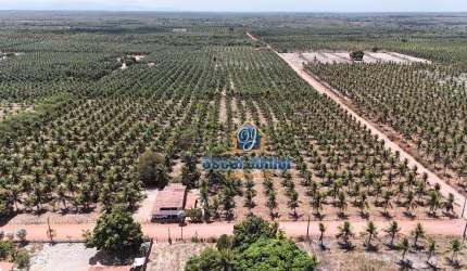 Belíssimo Terreno à Venda, 40.000 m² por R$ 630.000 - Lagoinha 2ª Estapa - Paraipaba/CE