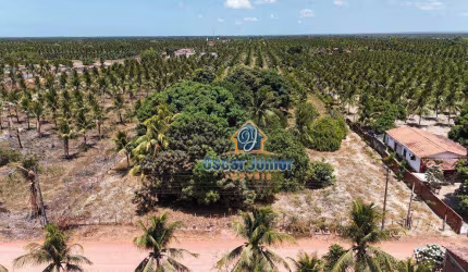 Terreno à venda, 10,000 m² por R$ 170.000 - Lagoinha - Paraipaba/CE