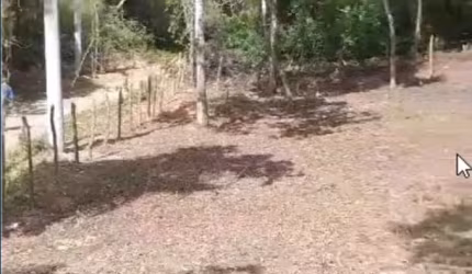 Terreno à venda na Linha Da Serra