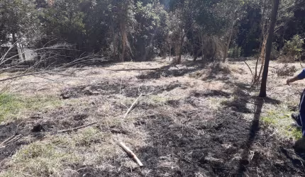 TERRENO GRANDE PARA INVESTIMENTO