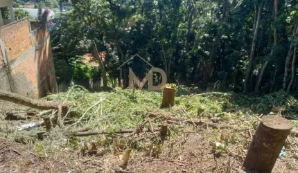 Terreno para Venda em Teresópolis, Iucas