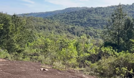 Sítio com Escritura Individual - Itapuã, Viamão - Condomínio Fechado / próximo da praia de Itapuã