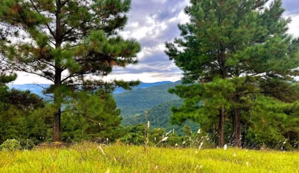 SÍTIO 1 HECTARE NA SERRA GAÚCHA – VISTA PANORÂMICA! perto de GRAMADO RS