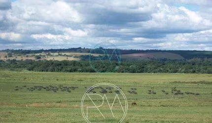 Fazenda à venda, 124 alqueires, Zona Rural, Santana do Itararé - PR