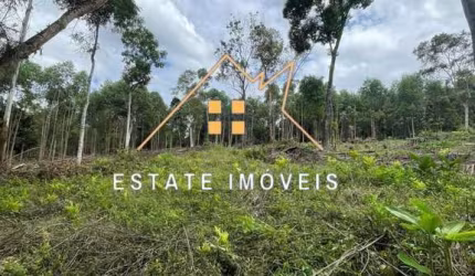 Terreno Industrial para Venda em Santa Isabel, Granja Urupês