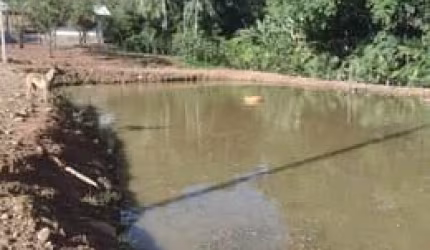 sítio em Massaranduba