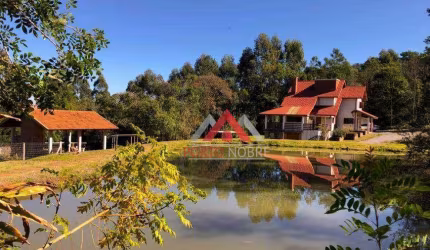 Sítio à venda, 110000 m² por R$ 2.250.000,00 - Vila Germania - Nova Petrópolis/RS