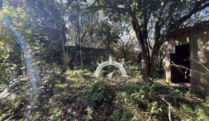 Chácara à venda, 4200 m² por R$ 300.000,00 - Neópolis - Gravataí/RS