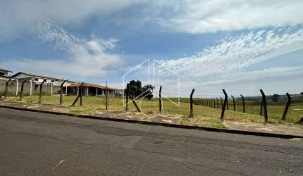 Terreno Área em Marília