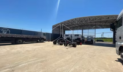 Comercial GalpãoBarracão em Marília