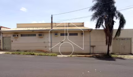 Comercial GalpãoBarracão em Marília