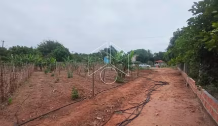 Rural SítioFazenda em Marília