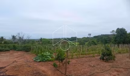 Rural SítioFazenda em Marília