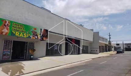 Comercial LojaSalão em Marília
