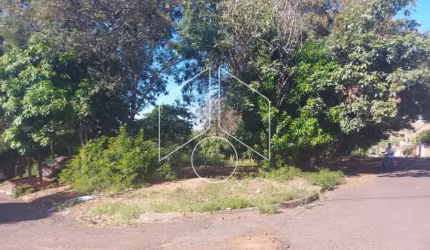 Terreno Área em Marília