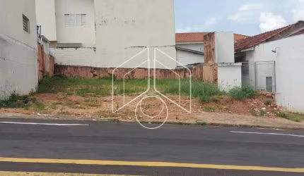 Terreno Fora de Condomínio em Marília